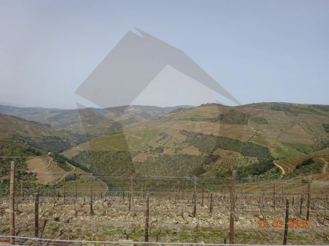 Quinta para Venda em Desejosa Foto 28