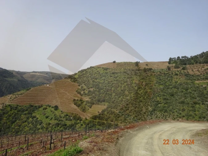 Quinta para Venda em Desejosa Foto 30