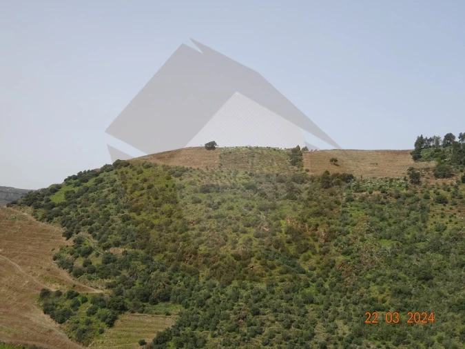 Quinta para Venda em Desejosa Foto 31