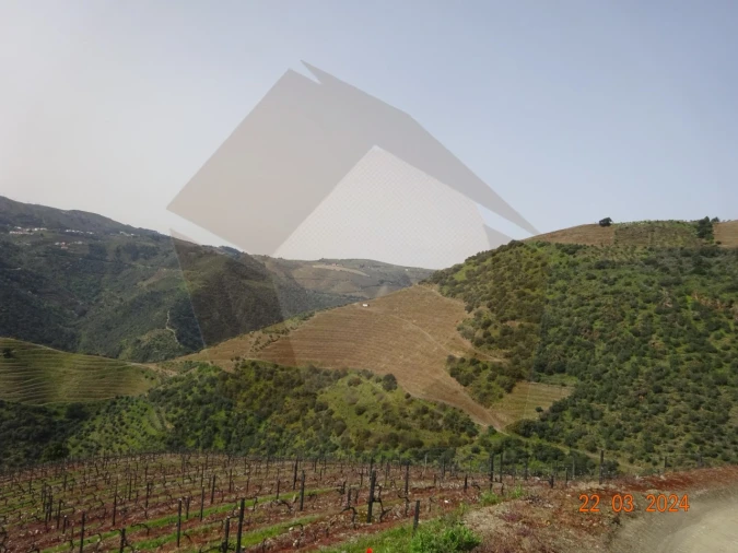 Quinta para Venda em Desejosa Foto 32