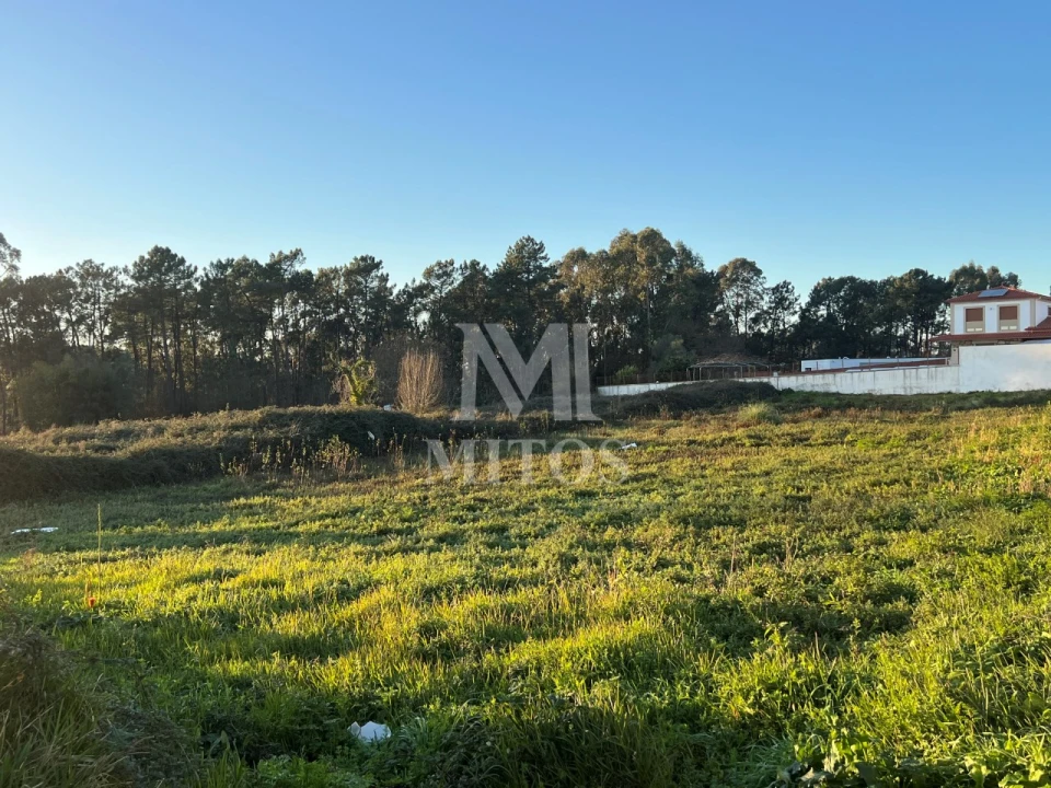 Terreno para Venda em Alvarães Foto 1