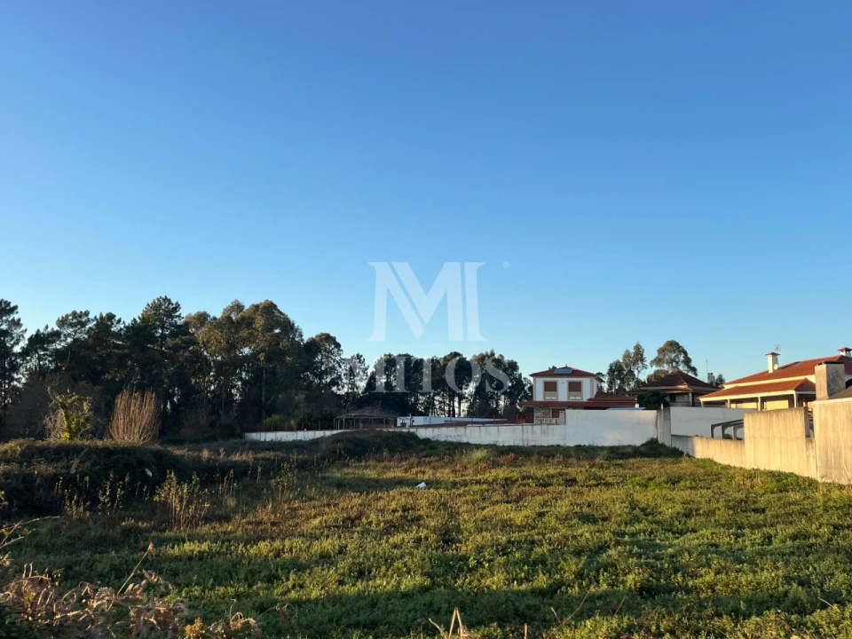 Terreno para Venda em Alvarães Foto 3