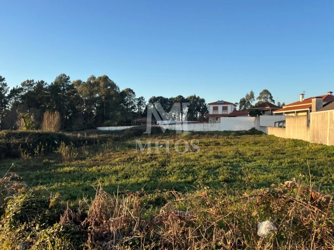 Terreno para Venda em Alvarães Foto 2