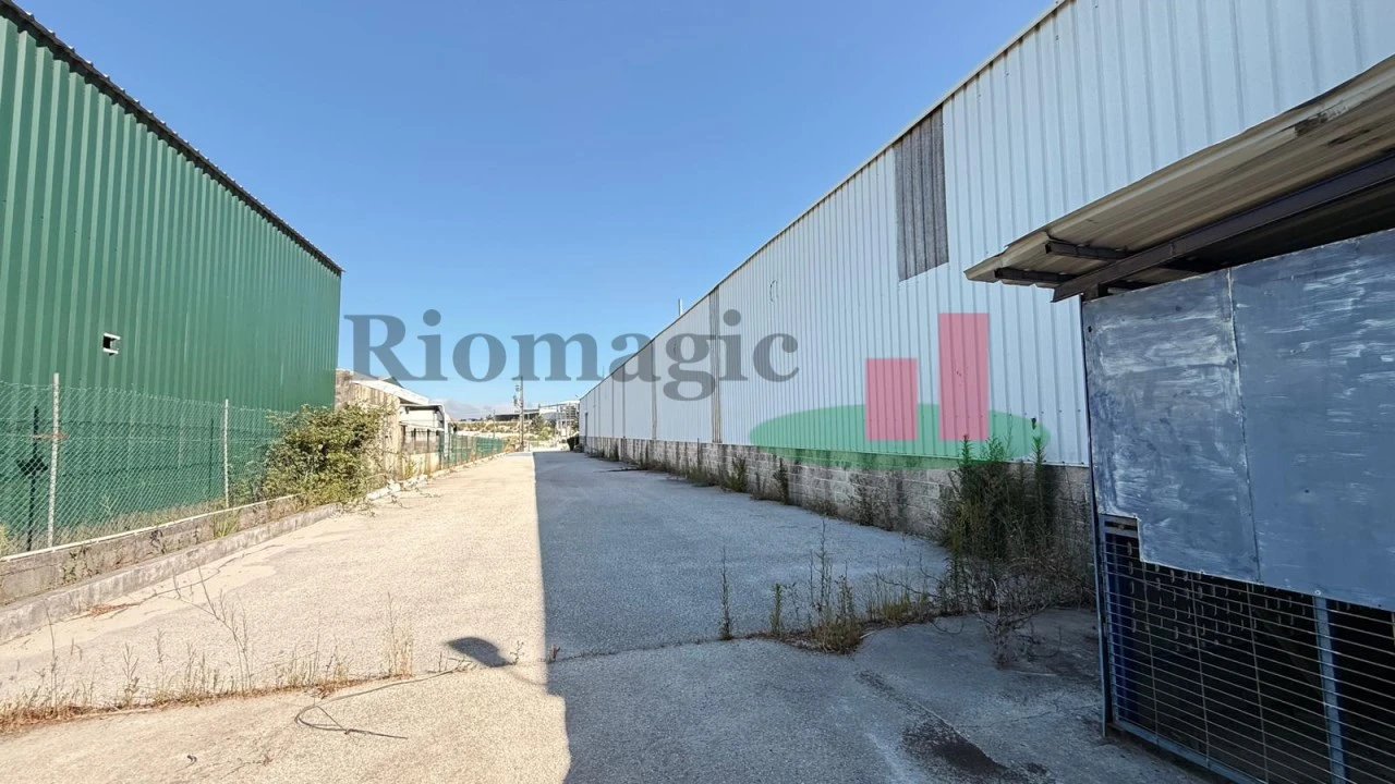 Armazém para Venda em Rio Maior Foto 52