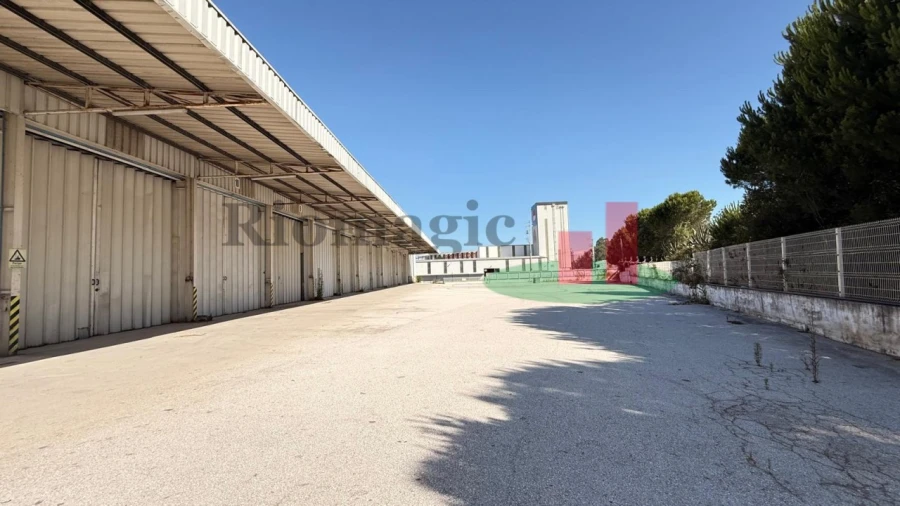 Armazém para Venda em Rio Maior Foto 45