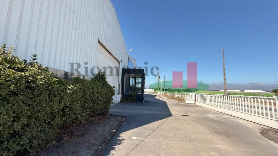 Armazém para Venda em Rio Maior Foto 47