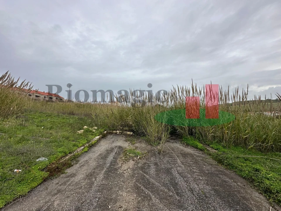 Terreno para Venda em Lourinhã e Atalaia Foto 5