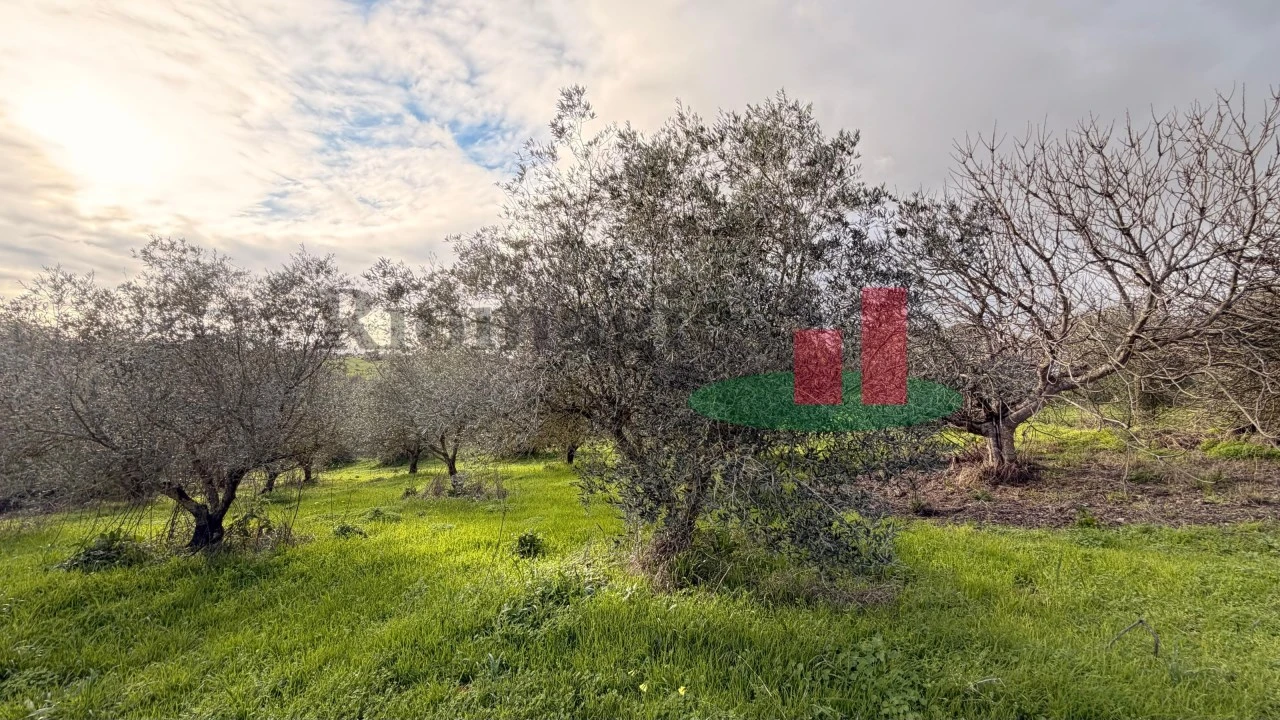 Moradia T1 para Venda em Achete, Azoia de Baixo e Póvoa de Santarém Foto 25