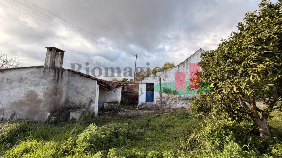Moradia T1 para Venda em Achete, Azoia de Baixo e Póvoa de Santarém Foto 17