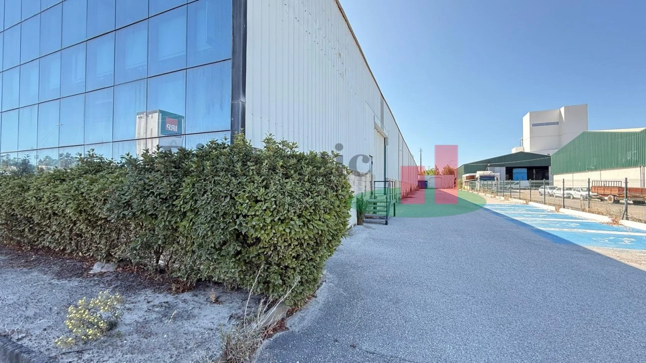 Armazém para Arrendamento em Rio Maior Foto 51
