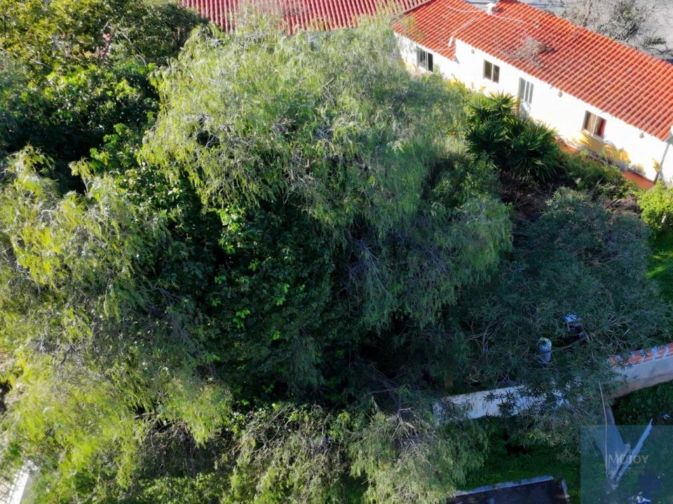 Terreno para Venda em Portimão Foto 5