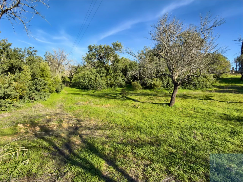 Terreno Agricola ou Rústico para Venda em Paderne Foto 3