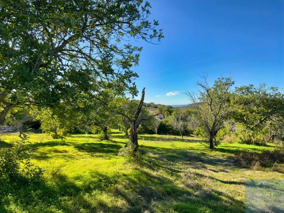 Terreno Agricola ou Rústico para Venda em Paderne Foto 7