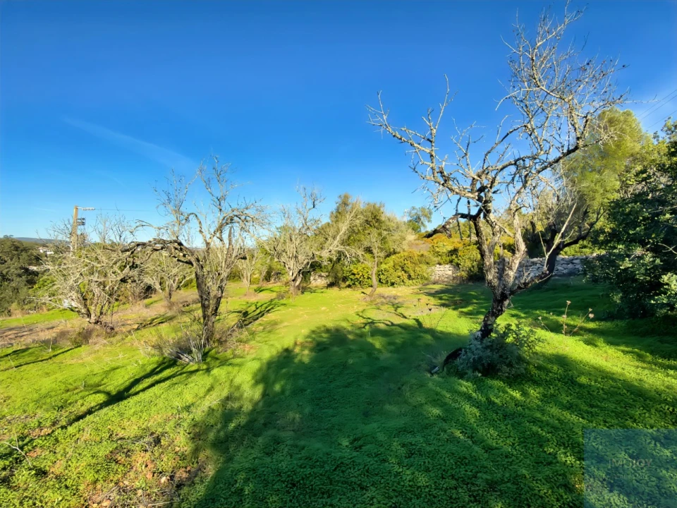 Terreno Agricola ou Rústico para Venda em Paderne Foto 8