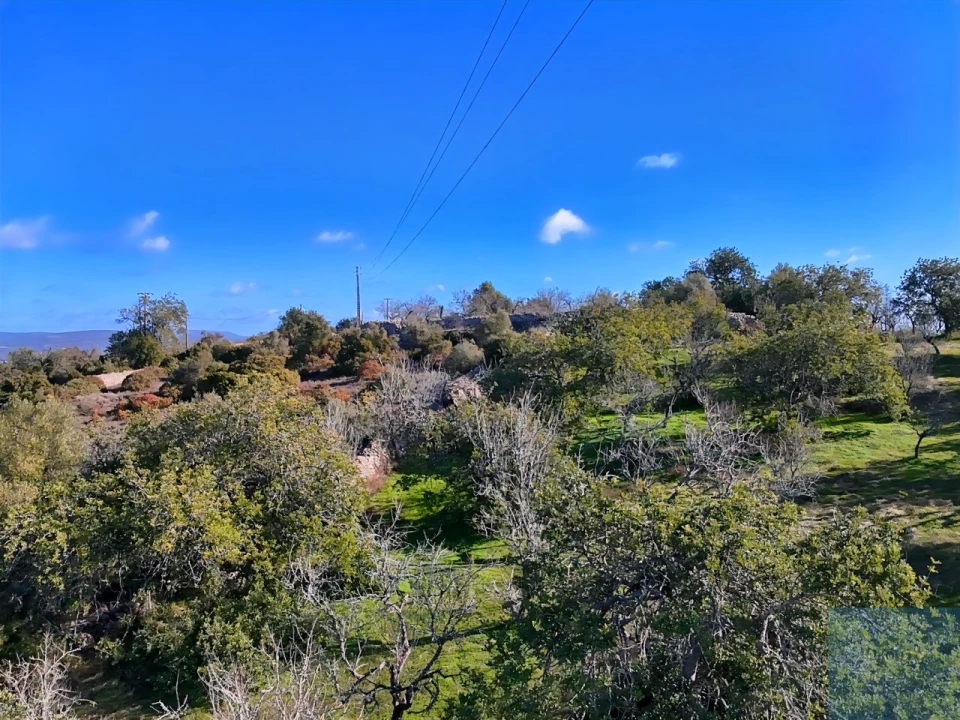 Terreno Agricola ou Rústico para Venda em Paderne Foto 18