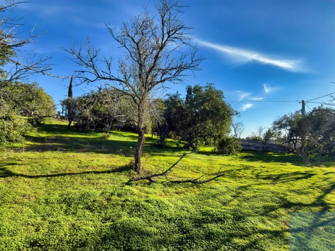 Terreno Agricola ou Rústico para Venda em Paderne Foto 2