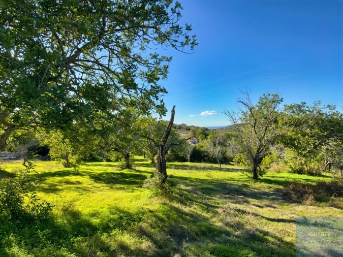 Terreno Agricola ou Rústico para Venda em Paderne Foto 7