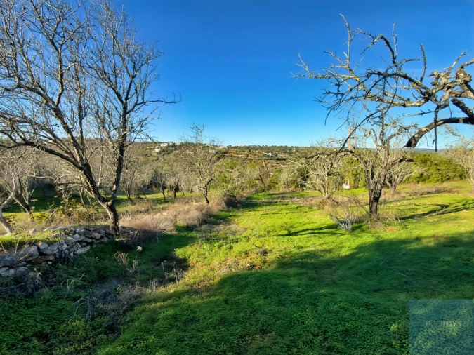 Terreno Agricola ou Rústico para Venda em Paderne Foto 9