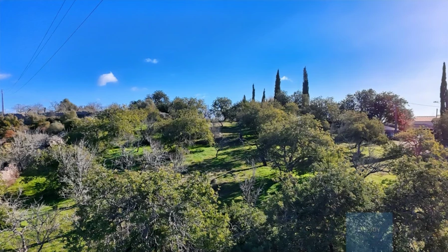 Terreno Agricola ou Rústico para Venda em Paderne Foto 15
