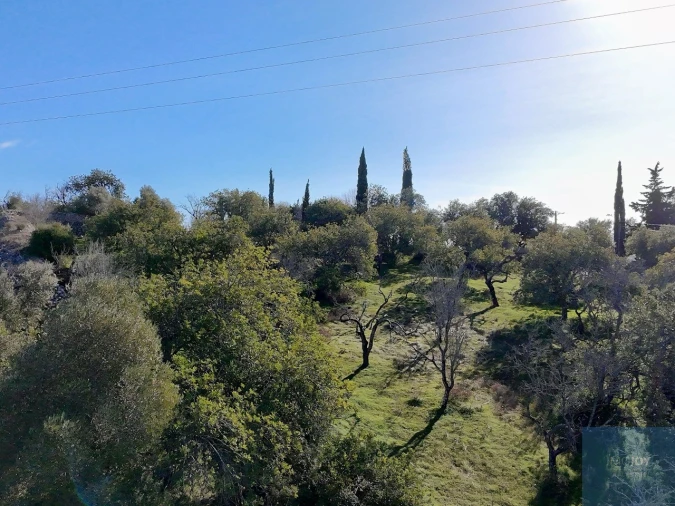Terreno Agricola ou Rústico para Venda em Paderne Foto 16