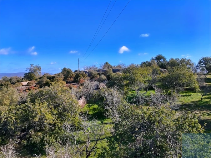 Terreno Agricola ou Rústico para Venda em Paderne Foto 18