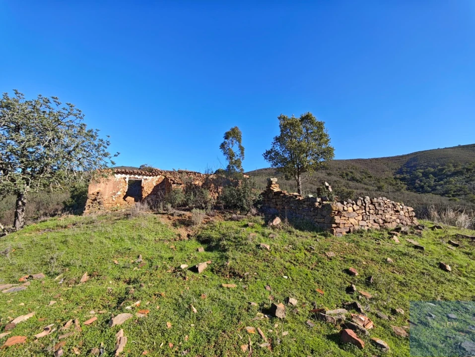 Terreno Misto para Venda em São Bartolomeu de Messines Foto 12