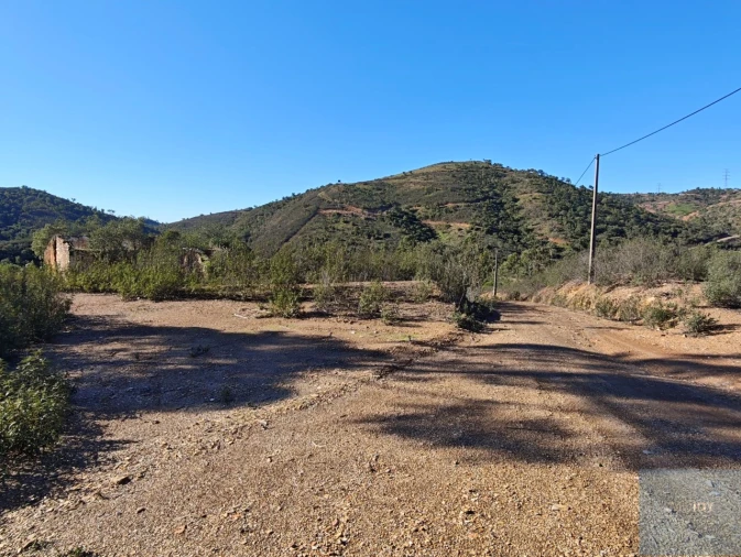 Terreno Misto para Venda em São Bartolomeu de Messines Foto 6