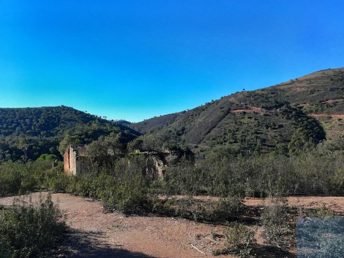 Terreno Misto para Venda em São Bartolomeu de Messines Foto 7