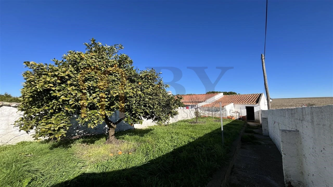 Moradia T1 para Venda em Castro Verde e Casével Foto 12