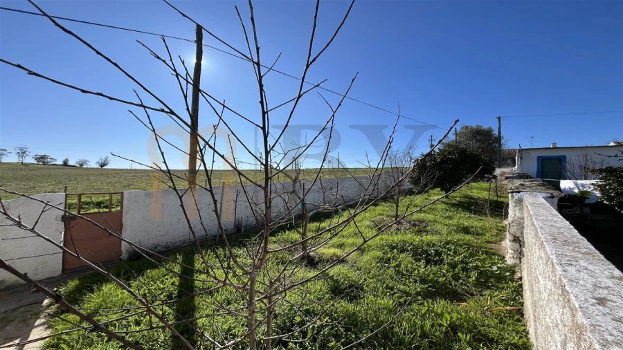 Moradia T1 para Venda em Castro Verde e Casével Foto 10