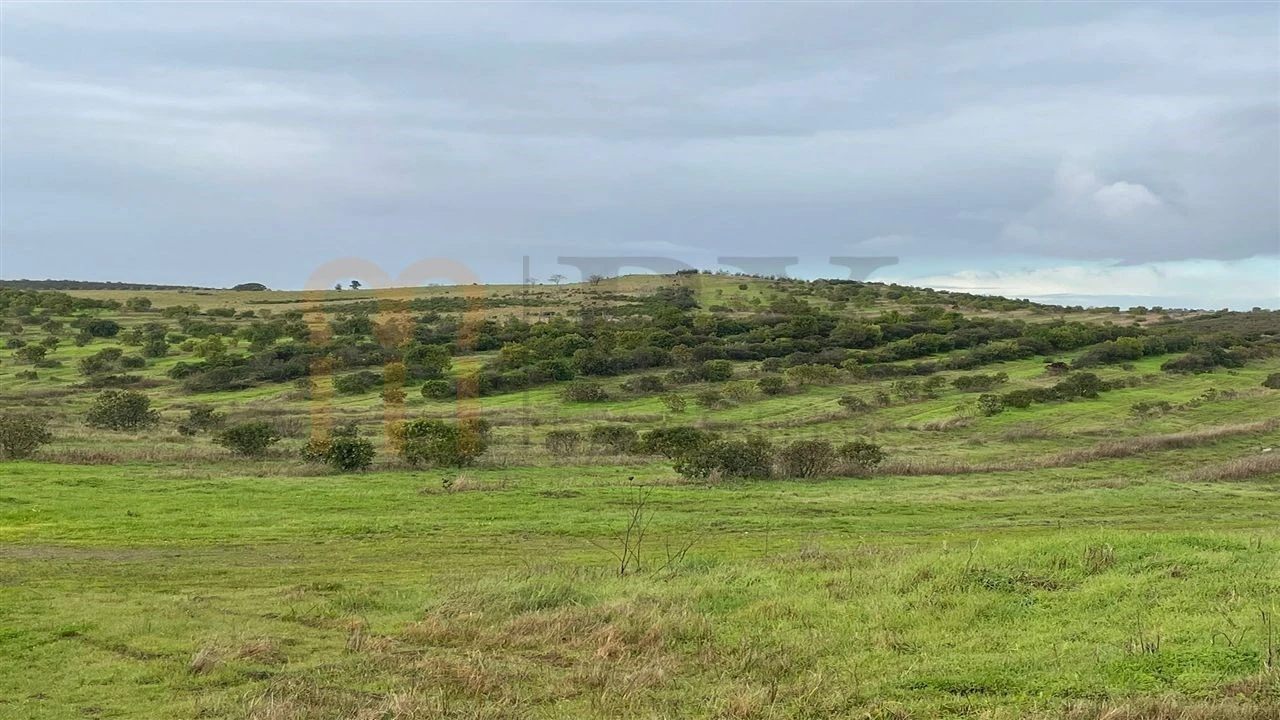 Terreno Agricola ou Rústico para Venda em Espirito Santo Foto 1