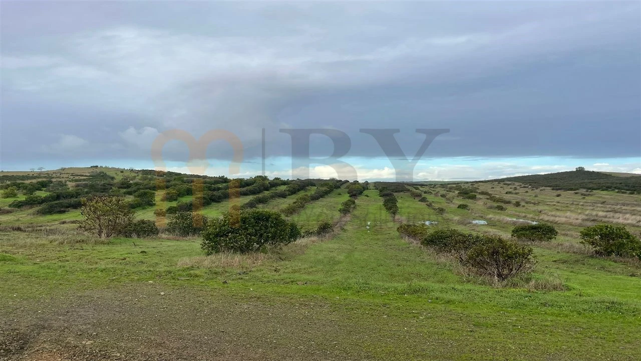 Terreno Agricola ou Rústico para Venda em Espirito Santo Foto 2