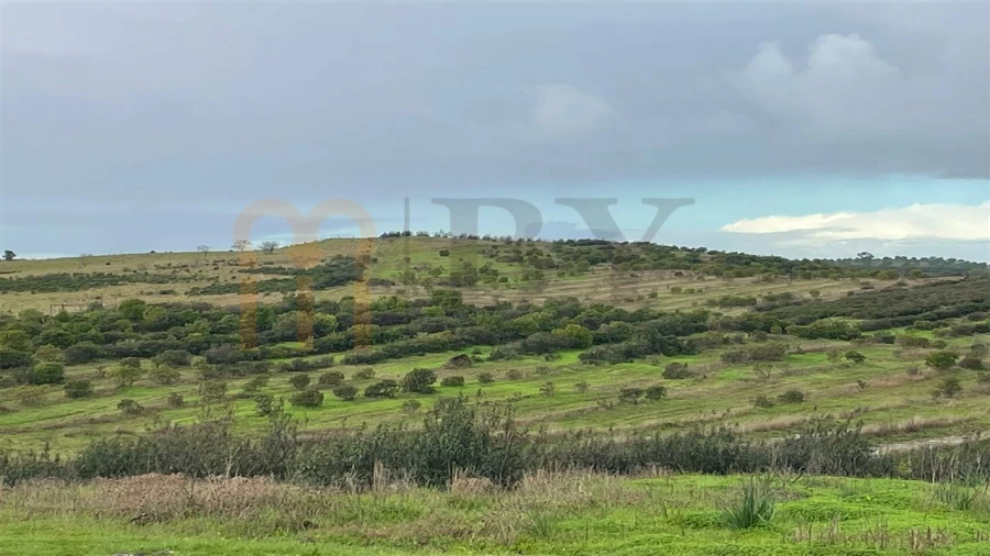Terreno Agricola ou Rústico para Venda em Espirito Santo Foto 4