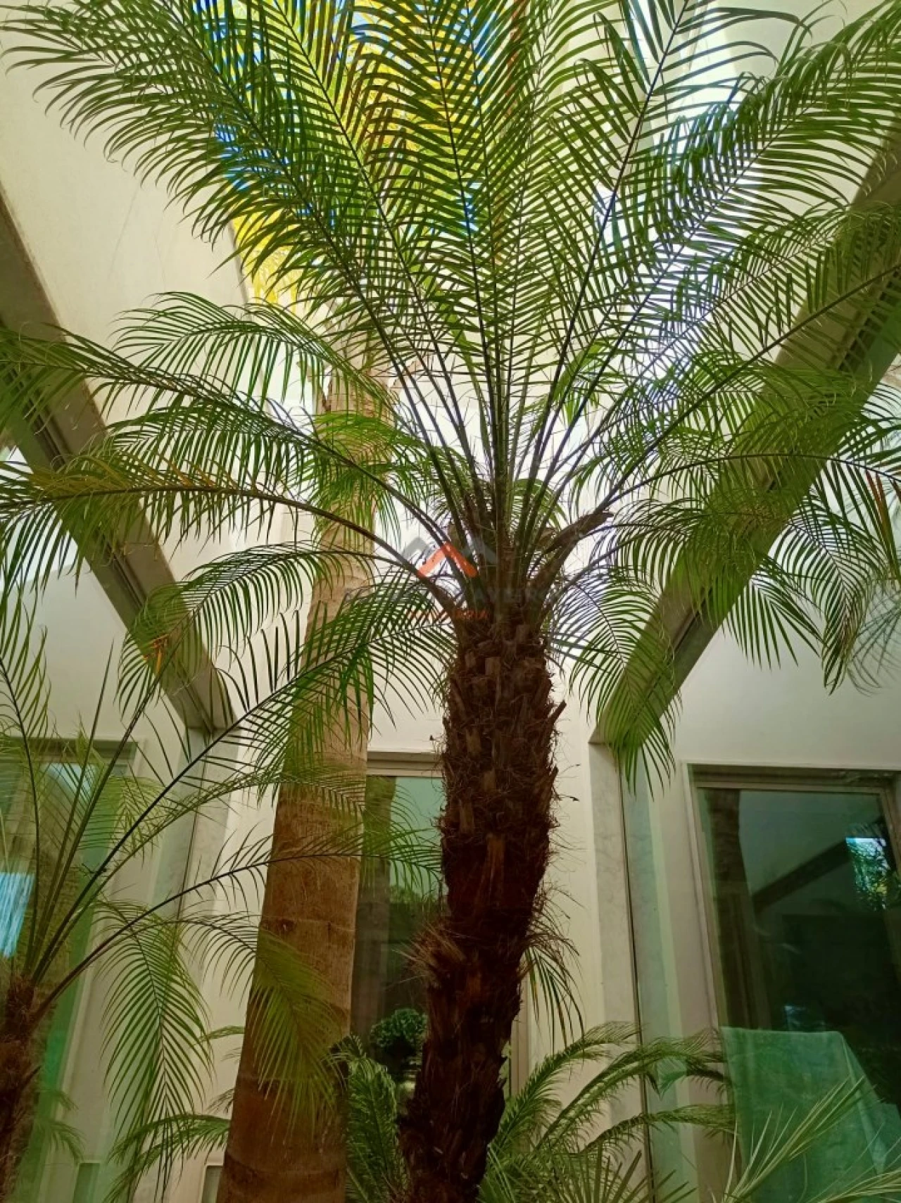 Moradia T5 para Venda em Oliveira do Bairro Foto 44