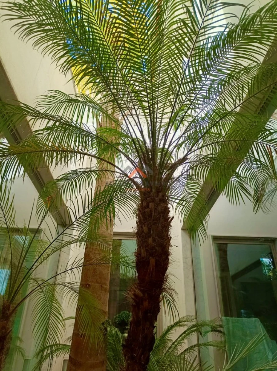 Moradia T5 para Venda em Oliveira do Bairro Foto 44