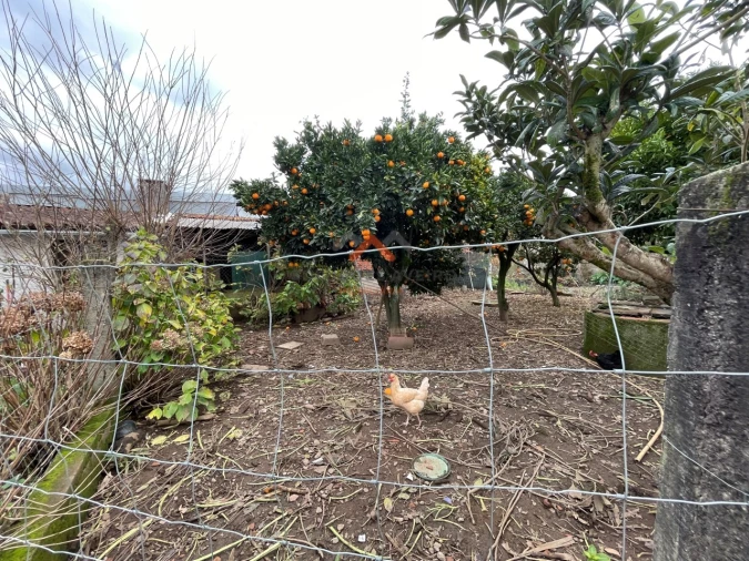 Moradia T3 para Venda em Valongo do Vouga Foto 22