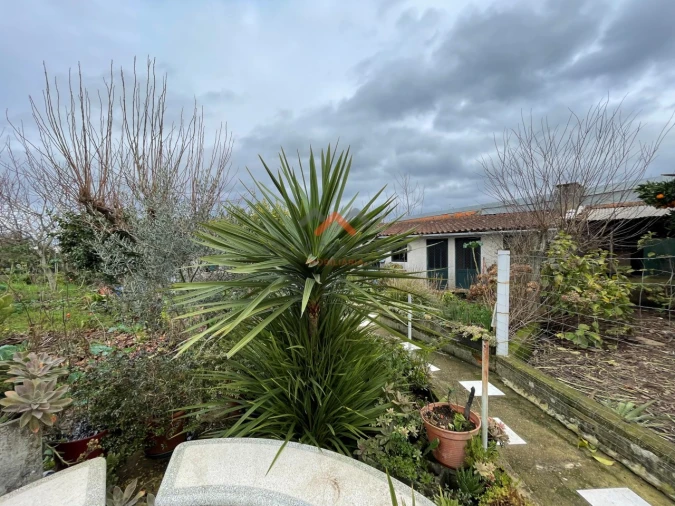 Moradia T3 para Venda em Valongo do Vouga Foto 23