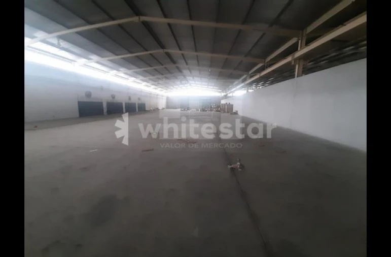 Armazém para Venda em Oliveira de Frades, Souto de Lafões e Sejães Foto 2