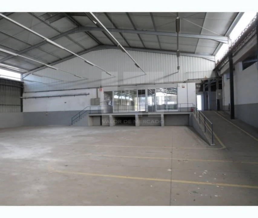 Armazém para Venda em Muge Foto 3