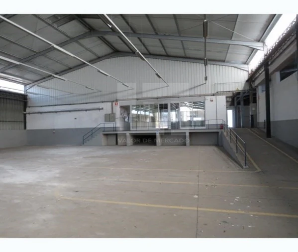 Armazém para Venda em Muge Foto 3