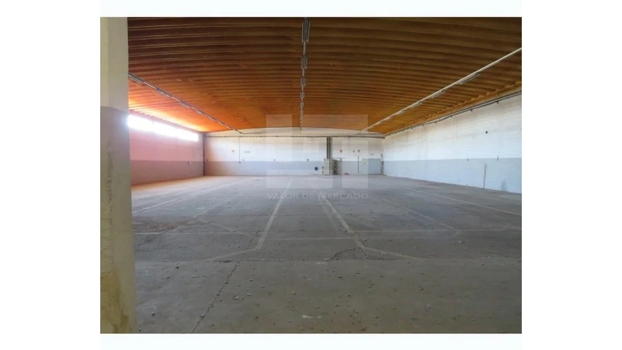 Armazém para Venda em Muge