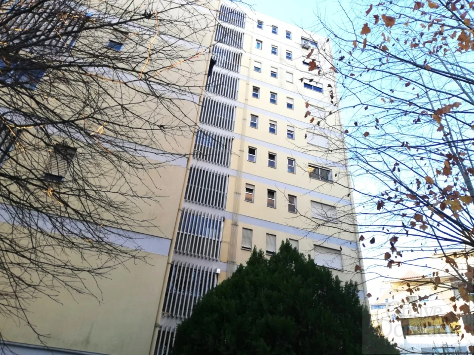 Apartamento T1 para Arrendamento em Santo Antonio dos Olivais Foto 11