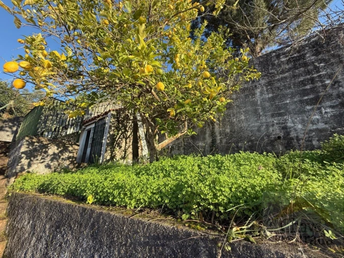 Moradia T3 para Venda em Eiras e São Paulo de Frades Foto 7