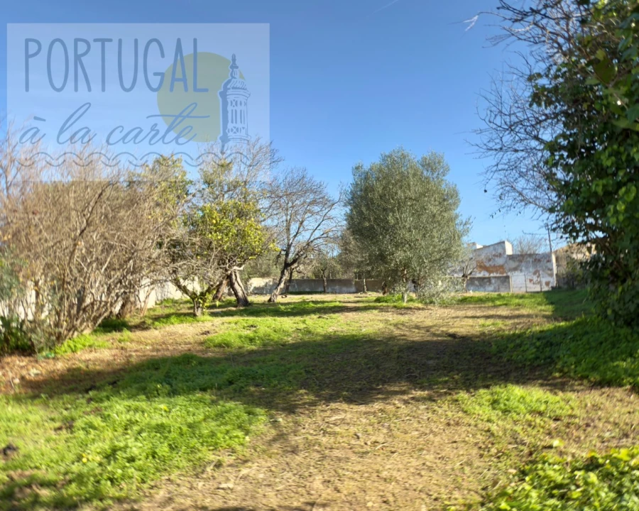 Terreno para Venda em Conceição e Estoi Foto 8