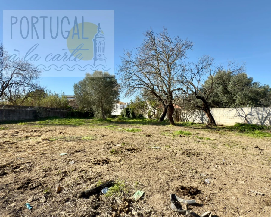 Terreno para Venda em Conceição e Estoi Foto 12