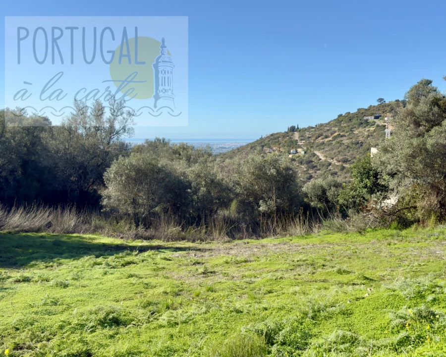 Terreno para Venda em Conceição e Estoi Foto 2