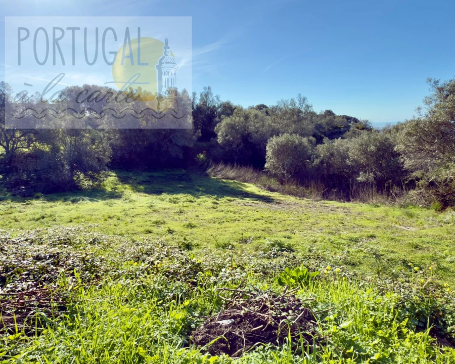 Terreno para Venda em Conceição e Estoi Foto 7
