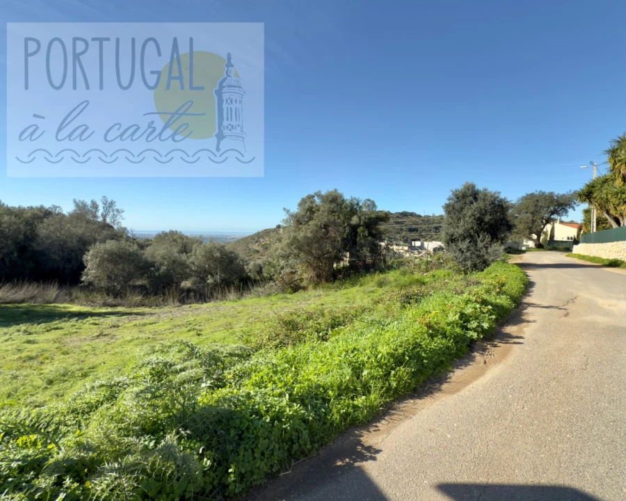 Terreno para Venda em Conceição e Estoi Foto 9