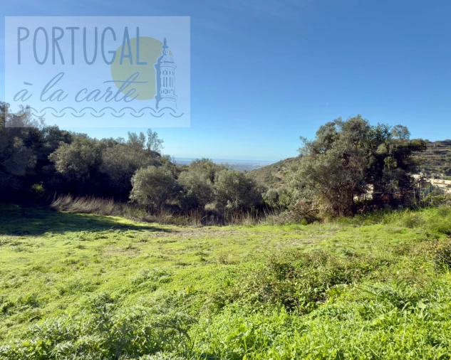 Terreno para Venda em Conceição e Estoi Foto 1