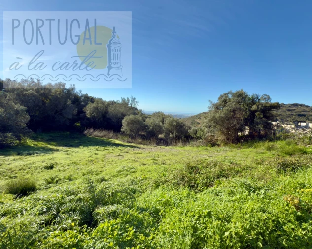 Terreno para Venda em Conceição e Estoi Foto 8